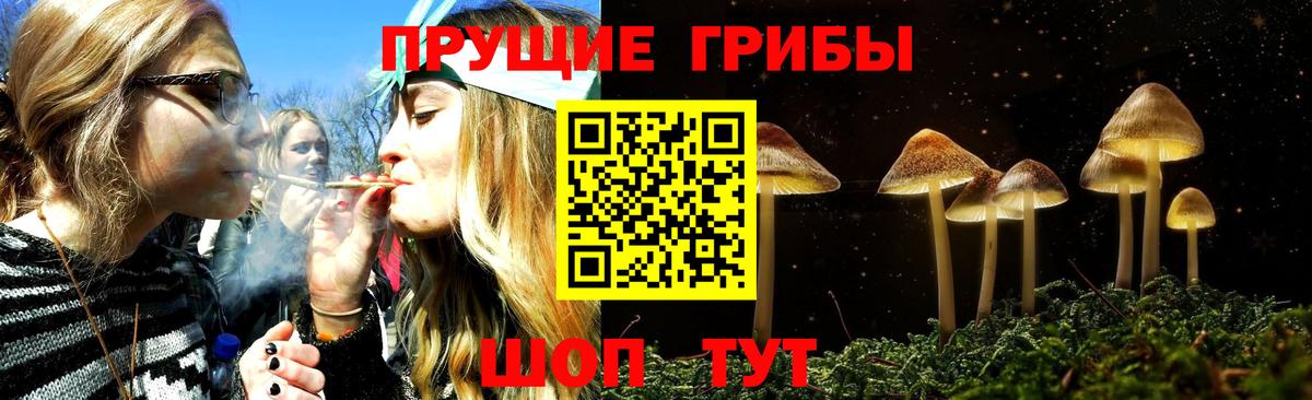 Гусь-Хрустальный  Галлюциногенные грибы ЛСД  даркнет сайт  Галлюциногенные грибы Psilocybe  Вход с VPN 