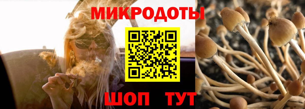 Галлюциногенные грибы MAGIC MUSHROOMS Гусь-Хрустальный